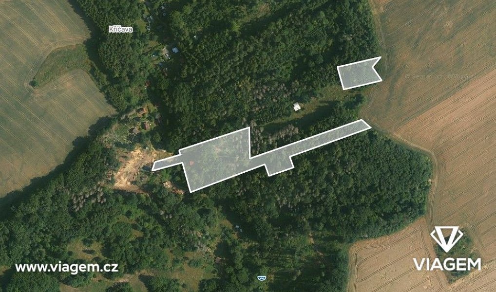 Prodej lesa 7 382 m², Ondřejov – náhled fotky 3