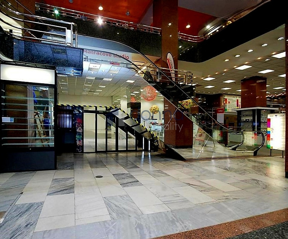 Pronájem obchodních prostor 360 m² – fotografie 2
