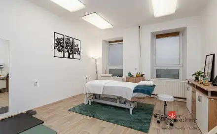 Pronájem komerčního objektu (jiného typu) 45 m², Jagellonská, Plzeň - Jižní Předměstí