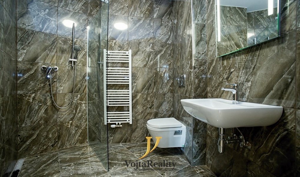 Pronájem bytu 1+kk 41 m², Olomouc – náhled fotky 3