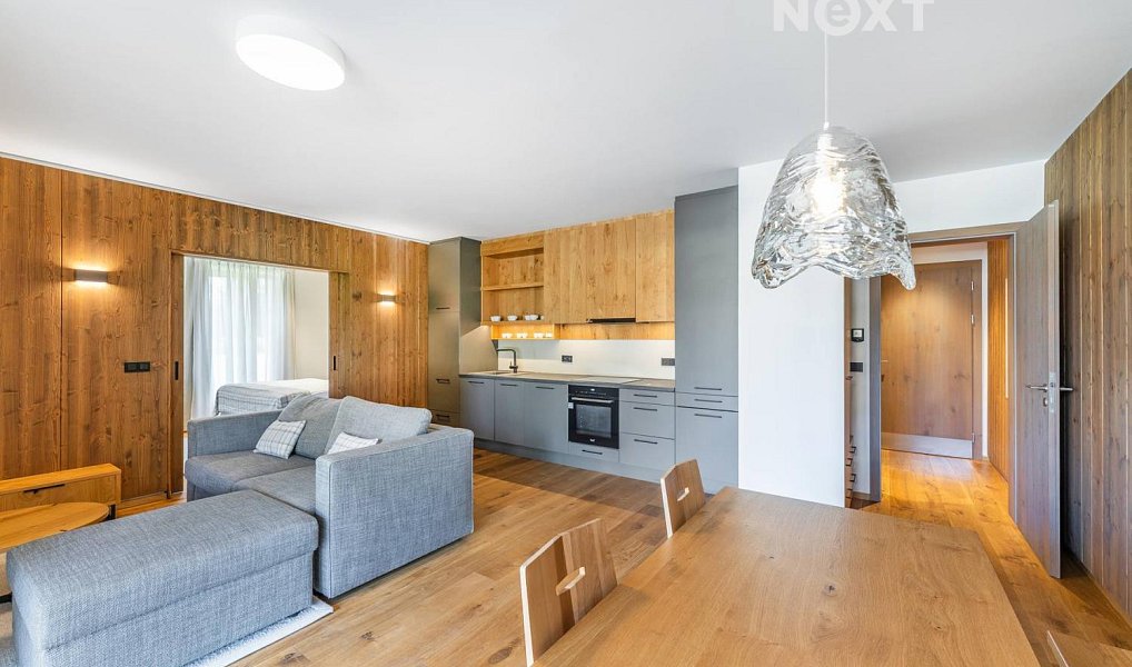 Prodej bytu 2+kk 57 m², Vítkovice – náhled fotky 3