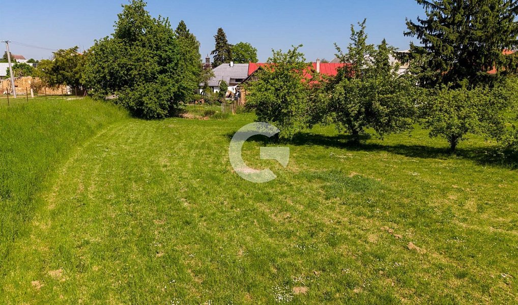 Prodej stavebního pozemku 2 778 m², Machová – náhled fotky 13