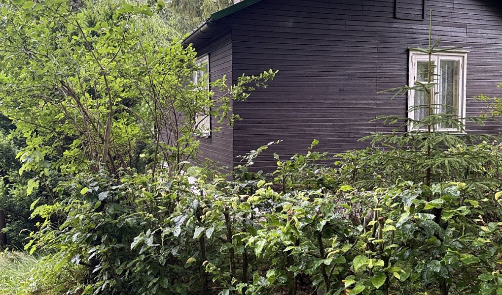 Prodej chaty/chalupy 62 m² s pozemkem 793 m², Krásná – náhled fotky 5