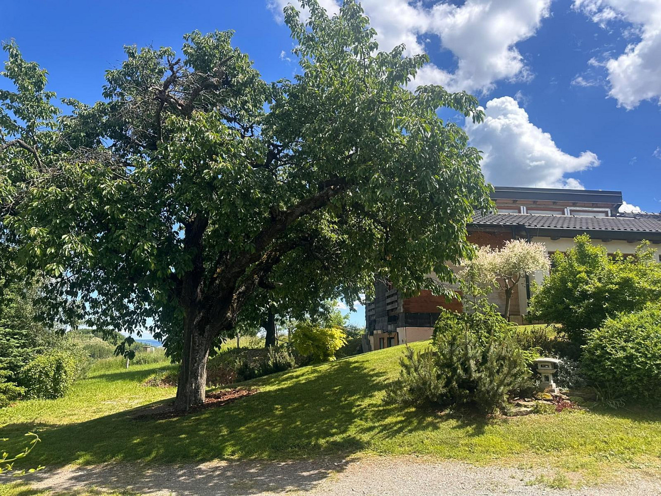 Prodej domu 135 m² s pozemkem 2 577 m² – fotografie 3