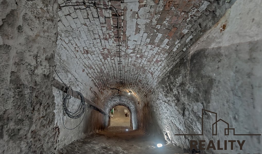 Prodej vinného sklepa na pozemku 450 m2 s ve Strachoticích, okr. Znojmo, Strachotice – náhled fotky 5
