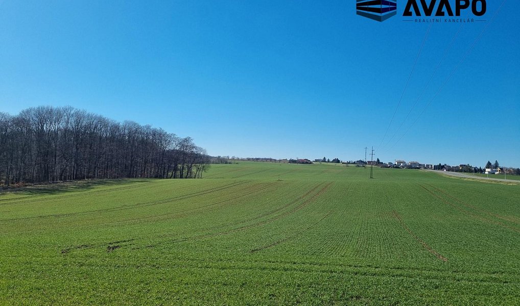 Prodej pole 17 432 m², Hrabyně – náhled fotky 5