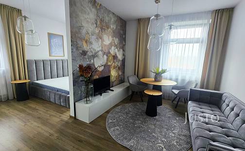 Pronájem bytu 1+1 38 m², Vladislavova, Písek - Pražské Předměstí