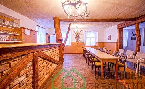 Prodej domu 270 m² s pozemkem 535 m², Javorník - Bílý Potok, okres Jeseník
