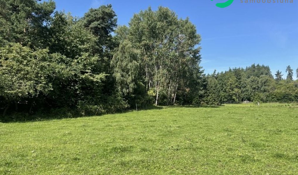 Prodej stavebního pozemku 3 805 m², Kolinec – náhled fotky 3