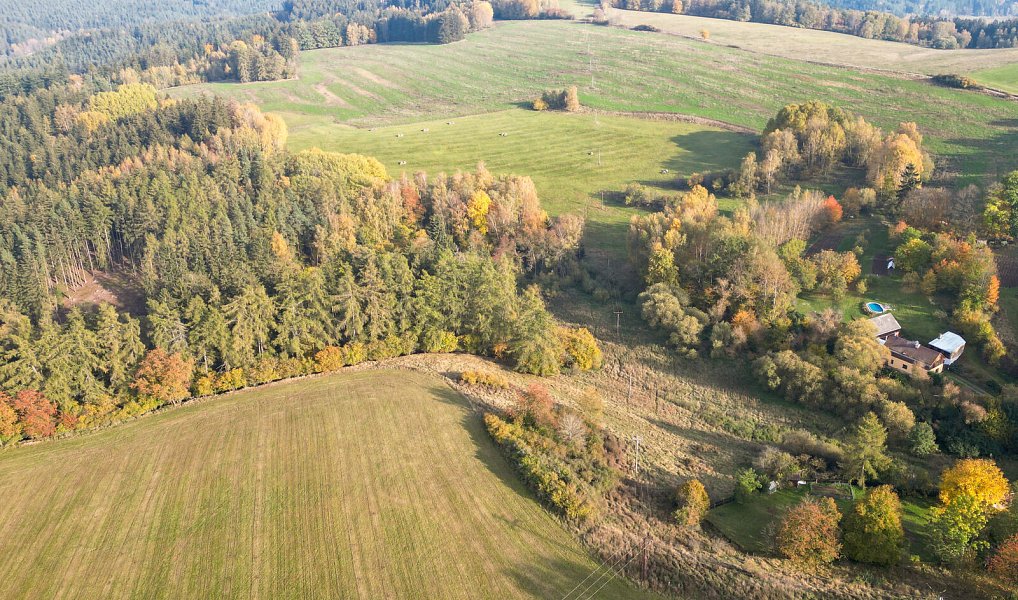 Prodej pozemku 15 970 m², Planá – náhled fotky 8