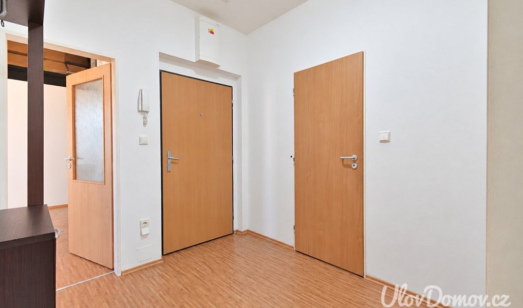 Prodej bytu 3+kk 67 m², Brno – náhled fotky 11