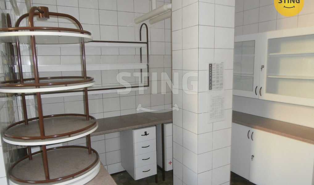 Pronájem obchodních prostor 240 m², Opava – náhled fotky 6