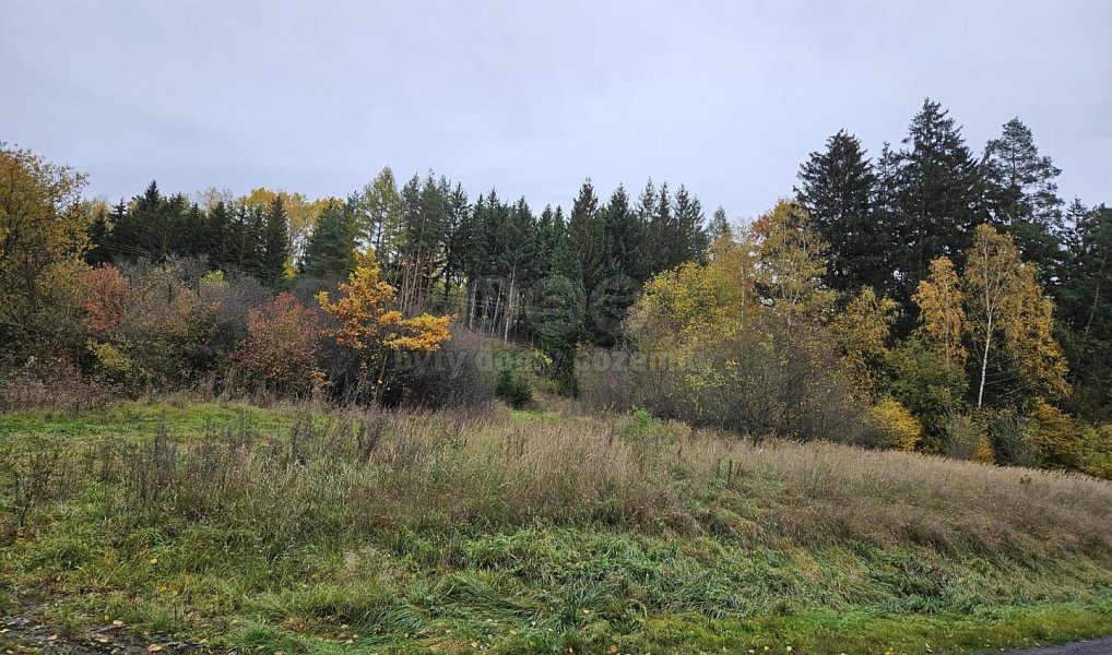 Prodej pole 1 278 m², Bělá u Jevíčka – náhled fotky 12