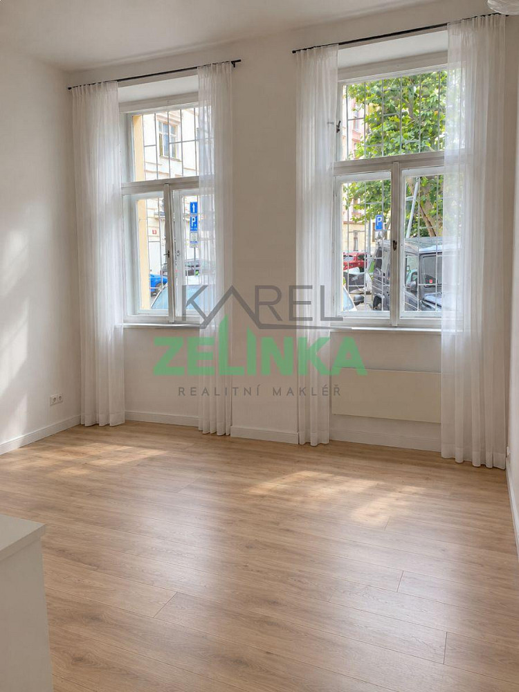 Pronájem bytu 1+kk 20 m² – fotografie 4