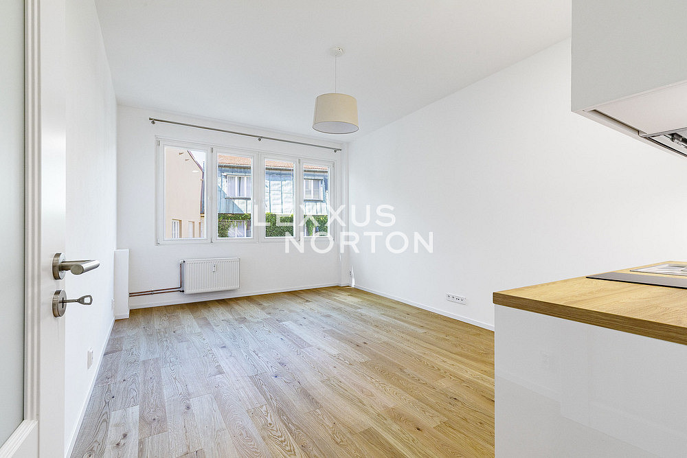 Pronájem bytu 1+kk 31 m² — photo 2