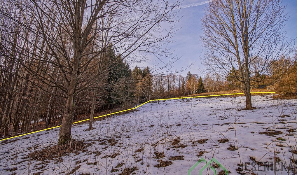 Prodej louky 2 772 m², Branná – náhled fotky 14