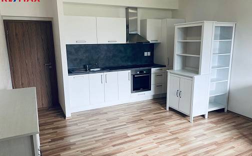Pronájem bytu 2+kk 52 m², U Velkého rybníka, Plzeň - Bolevec