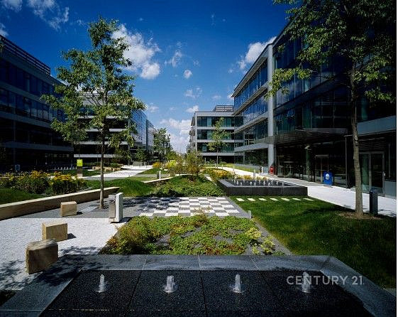 Pronájem kanceláře 287 m² — photo 2