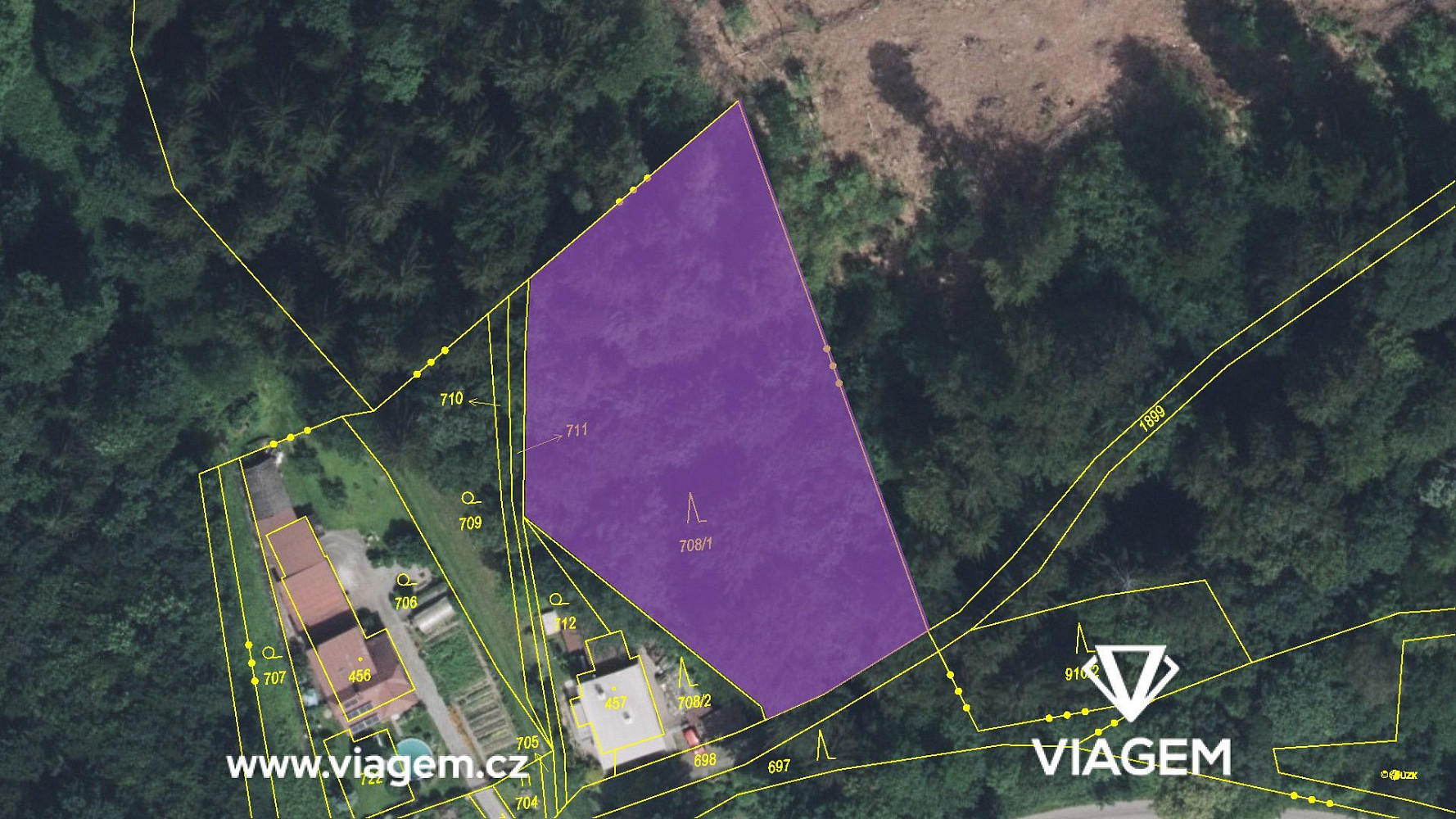 Prodej lesa 2 745 m² – fotografie 4