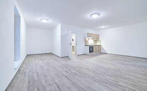 Pronájem bytu 1+kk 50 m², Rejskova, Plzeň - Východní Předměstí