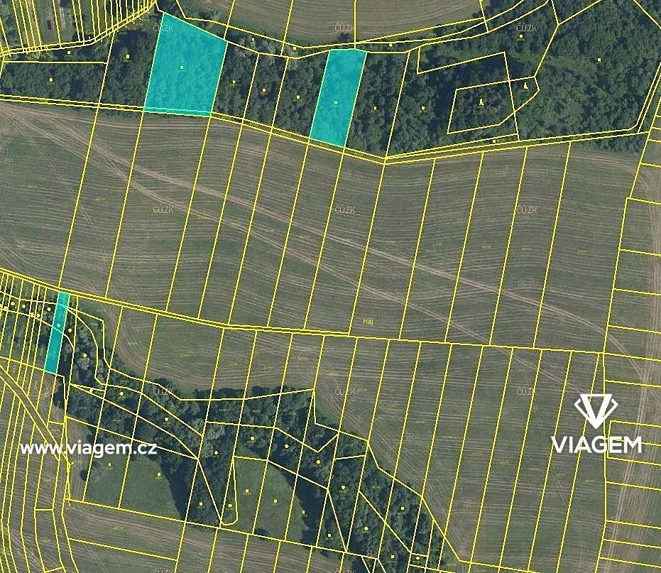 Prodej pole 724 m² – fotografie 2