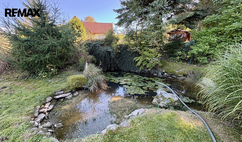 Prodej stavebního pozemku 2 340 m², Horní Cerekev – náhled fotky 6
