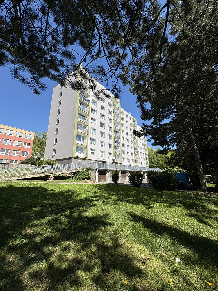 Pronájem bytu 1+1 38 m²
