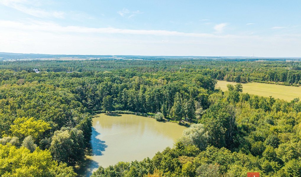 Prodej lesa 37 347 m², Pardubice – náhled fotky 3