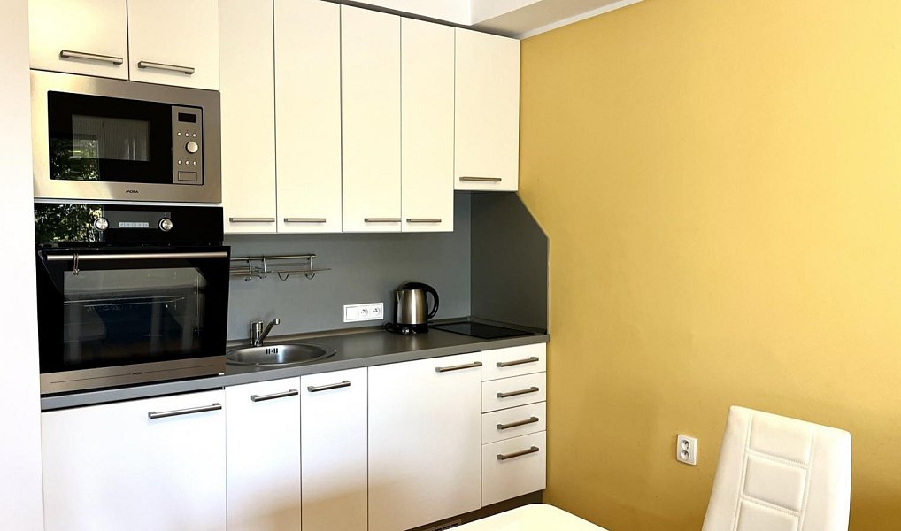 Pronájem bytu 1+kk 29 m², Frýdek-Místek – náhled fotky 2