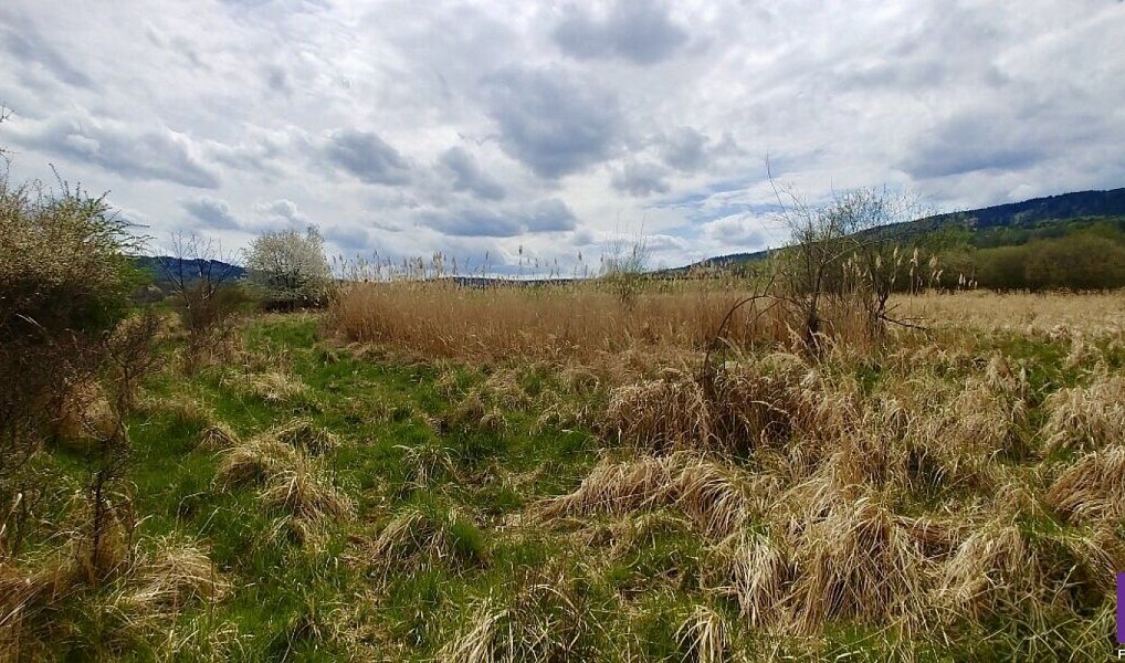 Prodej pole 6 487 m², Hostomice – náhled fotky 2