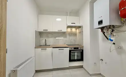 Prodej bytu 1+1 29 m², Hartigova, Praha 3 - Žižkov