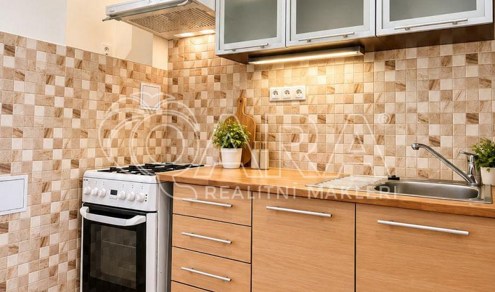 Pronájem bytu 2+kk 45 m², Praha – náhled fotky 9