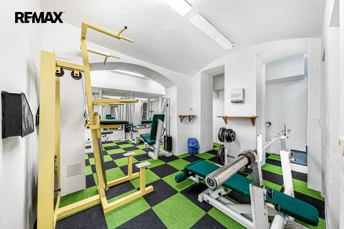 Pronájem obchodních prostor 225 m² – pohled 3