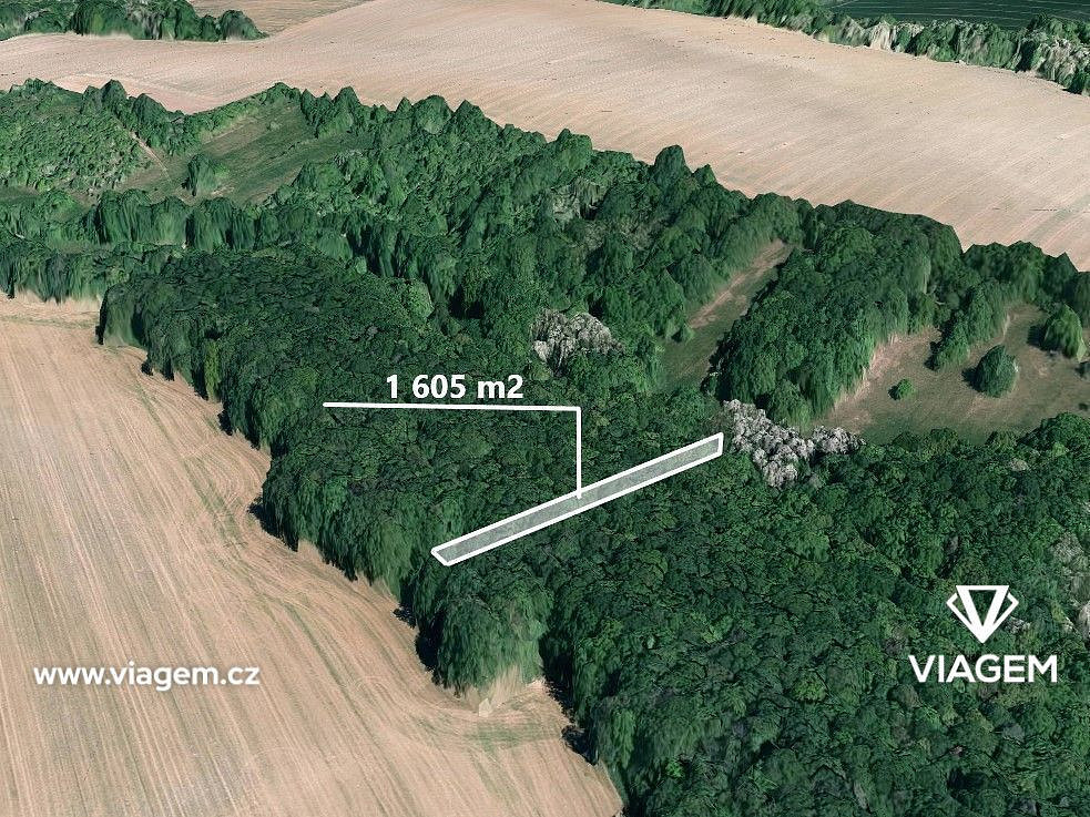 Prodej lesa 735 m²