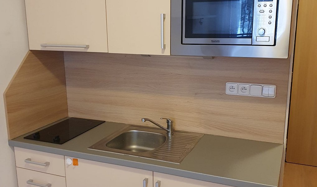 Pronájem bytu 1+kk 20 m², Všemina – fotka 1 z 17