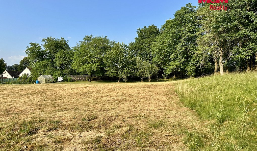 Prodej stavebního pozemku 2 996 m², Sedlec-Prčice – náhled fotky 3