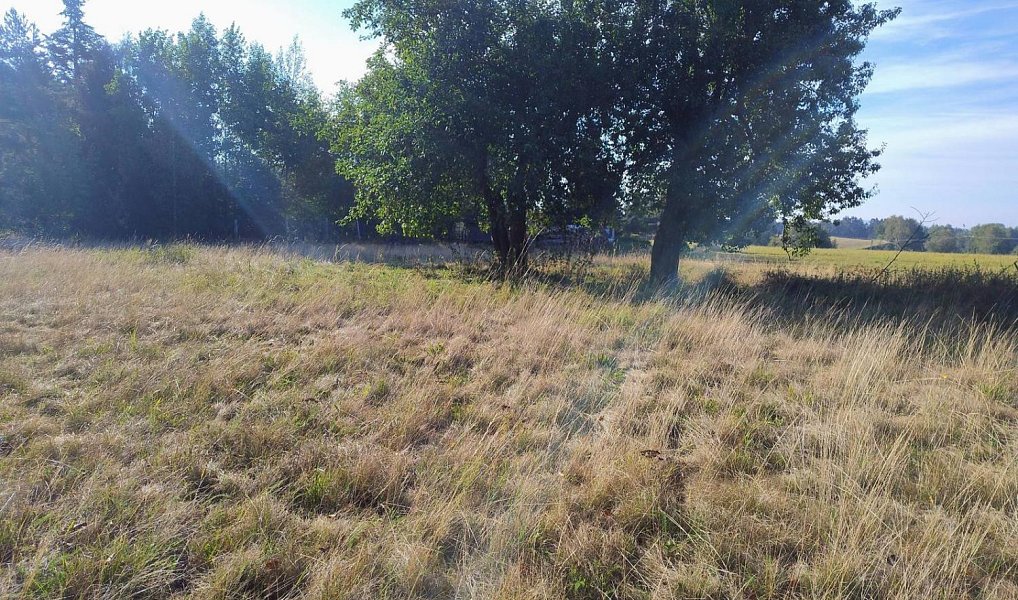 Prodej stavebního pozemku 842 m², Libá – náhled fotky 6