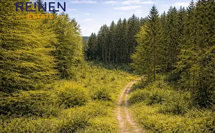 Prodej lesa 57 952 m², Železný Brod, okres Jablonec nad Nisou