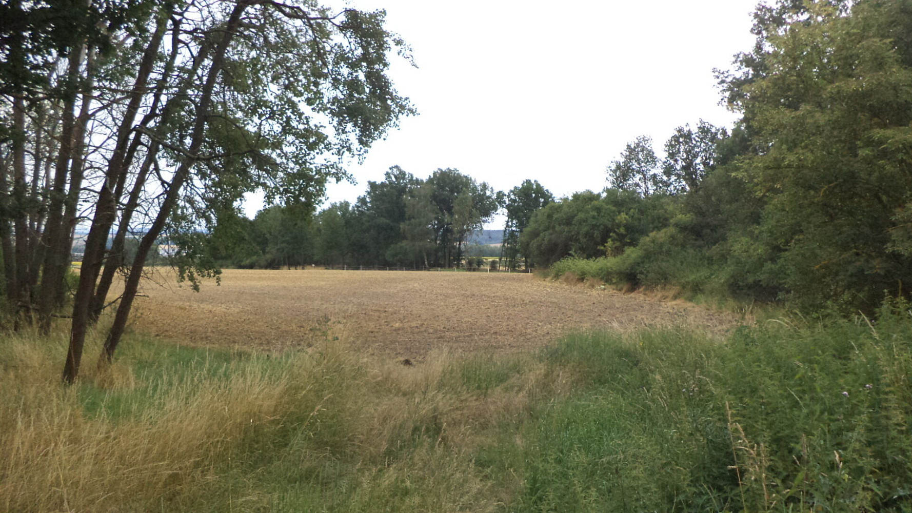 Prodej zahrady 1 100 m²