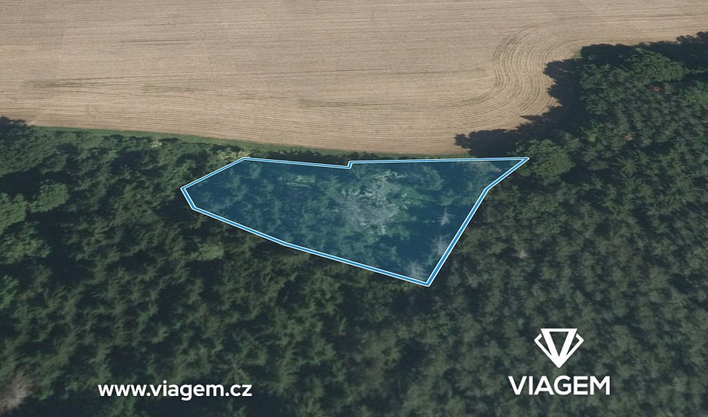 Prodej lesa 1 508 m², Ostrovec – náhled fotky 2