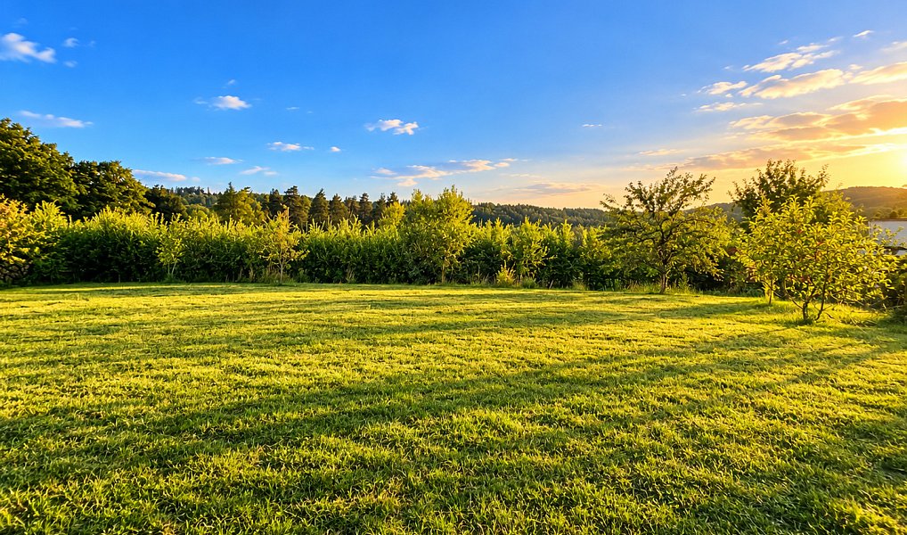 Prodej domu 58 m² s pozemkem 1 317 m², Libež – náhled fotky 16