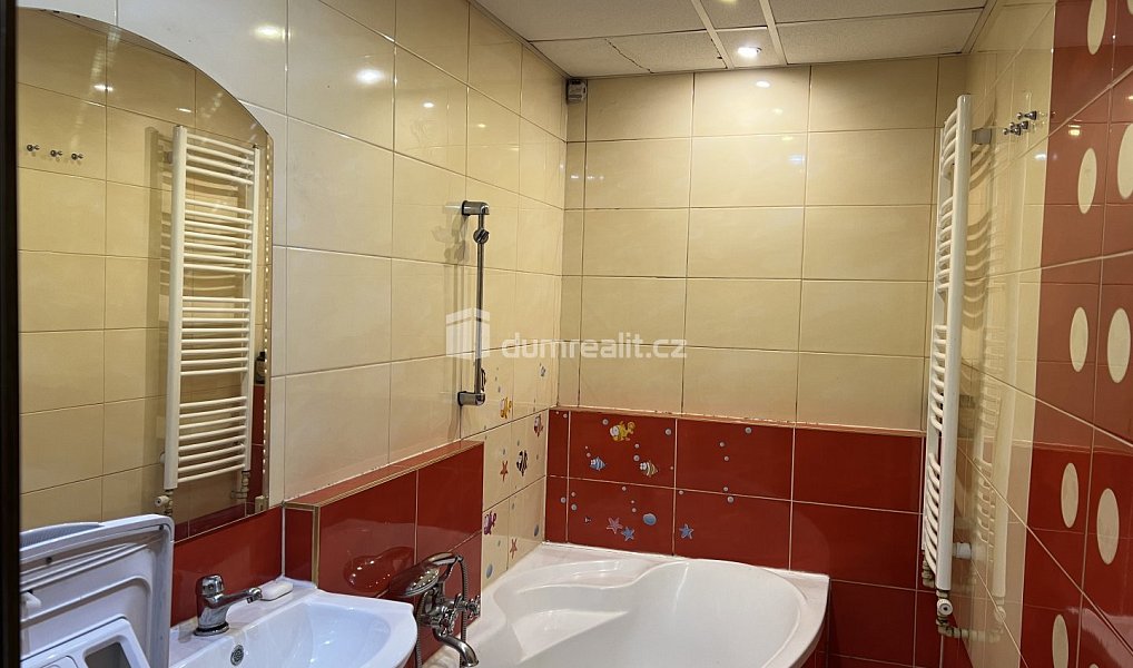 Prodej domu 261 m² s pozemkem 261 m², Nový Jičín – náhled fotky 2