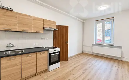 Pronájem bytu 1+1 44 m², J. E. Purkyně, Nový Bydžov, okres Hradec Králové