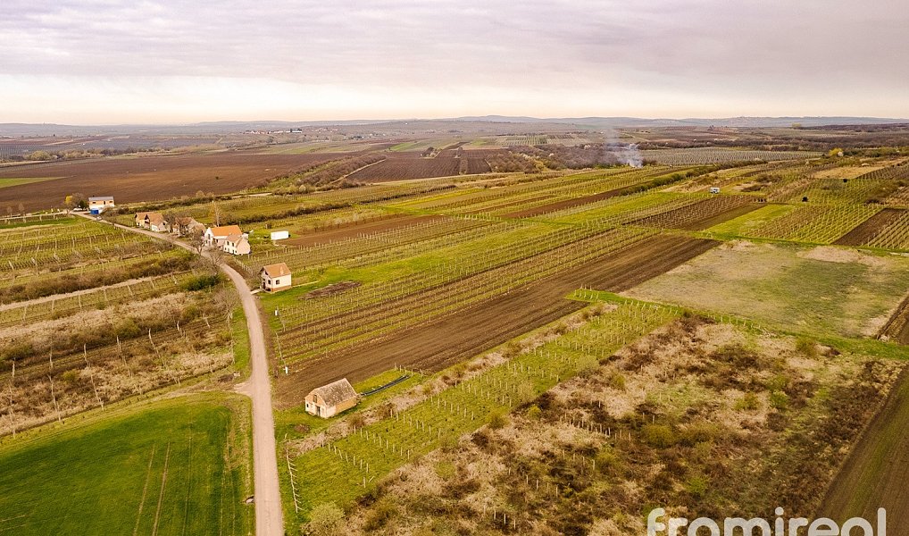 Prodej stavebního pozemku 3 646 m², Moravský Žižkov – náhled fotky 4