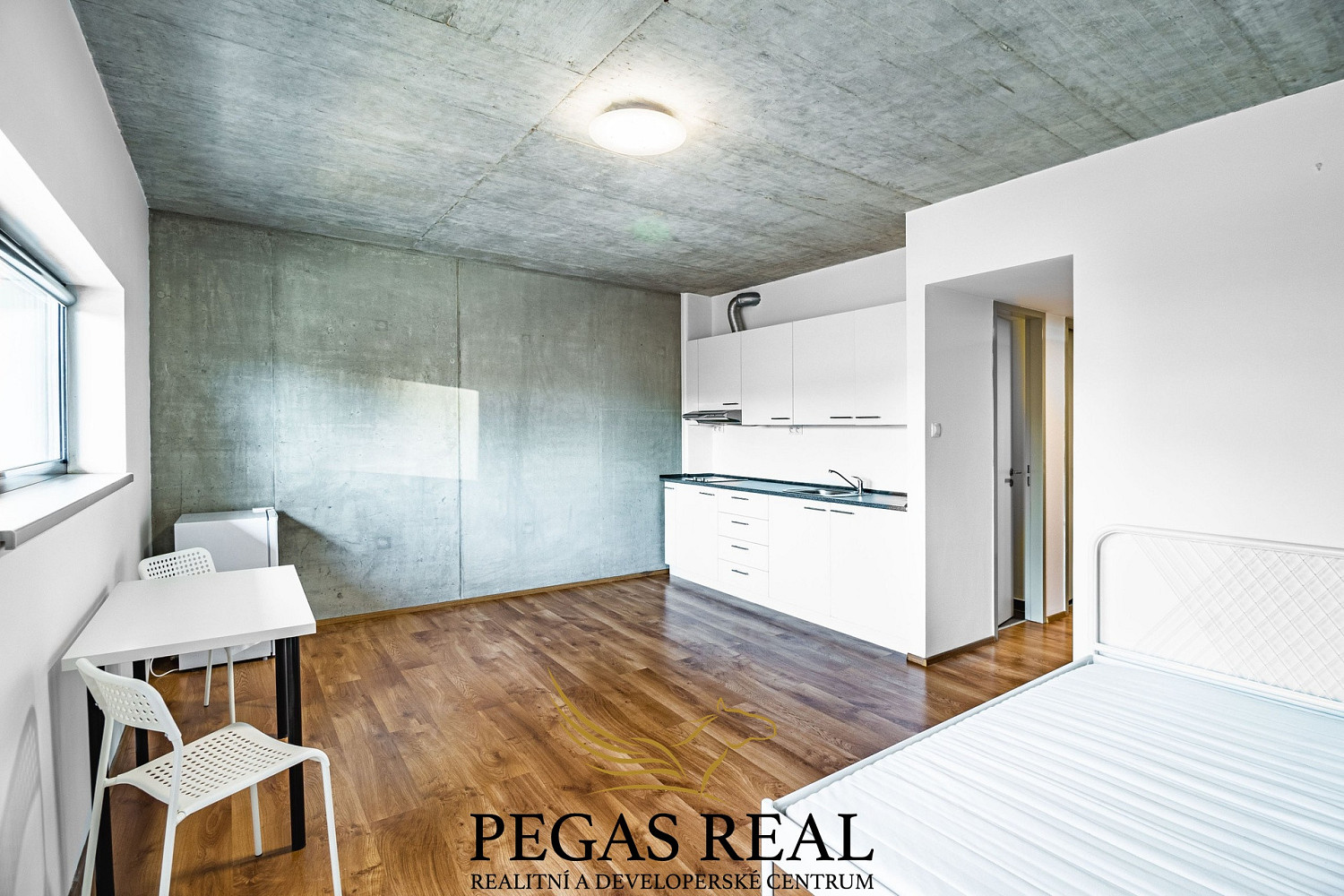 Pronájem bytu 1+kk 42 m²