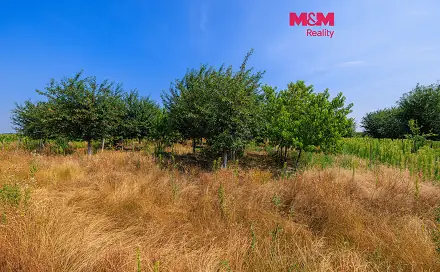 Prodej pole 12 442 m², Rakvice, okres Břeclav