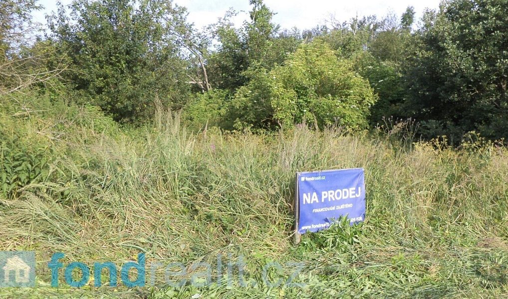 Prodej pozemku 1 919 m², Slavonice – náhled fotky 5