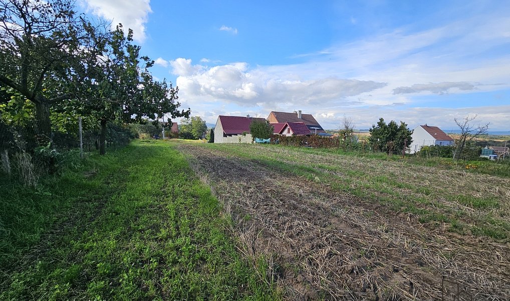Prodej stavebního pozemku 2 691 m², Skoronice – náhled fotky 3