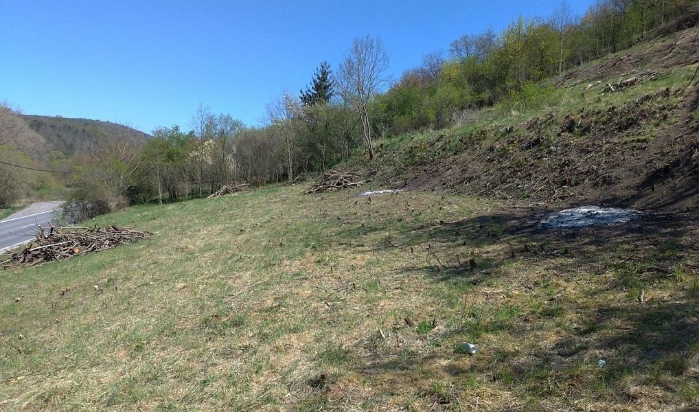 Prodej stavebního pozemku 15 999 m², Beroun – náhled fotky 4