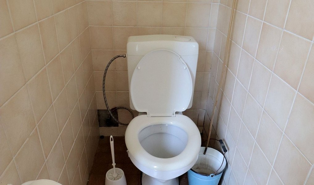 Prodej domu 316 m² s pozemkem 1 314 m², Pecka – náhled fotky 8